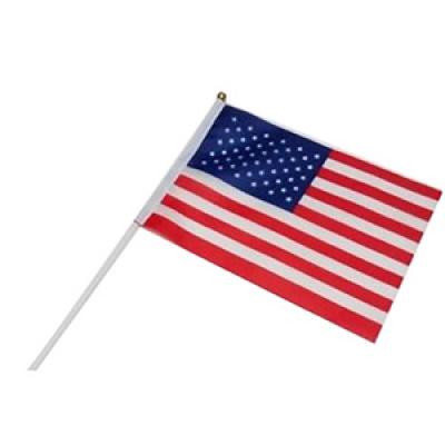 Handheld American Flag