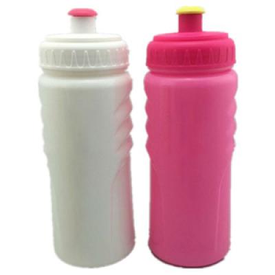 Sport Water Bottle